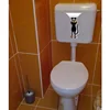 YOJA 17,7*24,4 cm cero gato baño divertido aseo etiqueta habitación pared calcomanías T1-0090 ► Foto 2/6