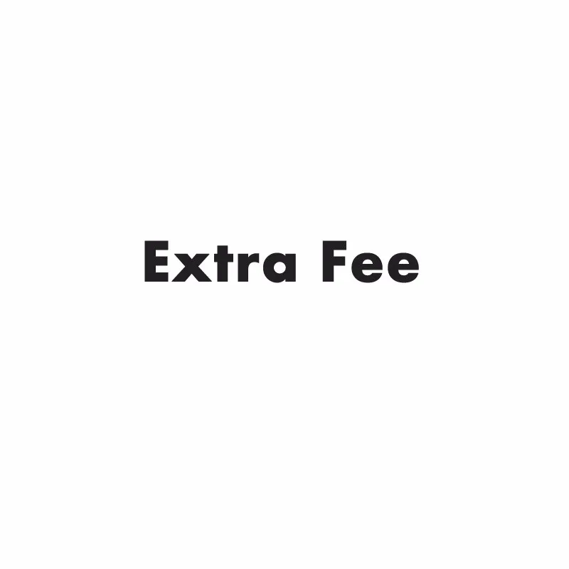 

extra fee payment link