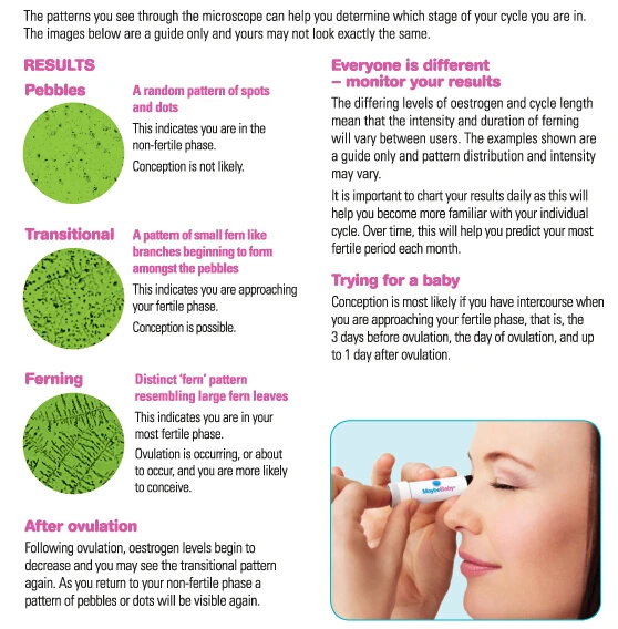 ovulation-test-interperate