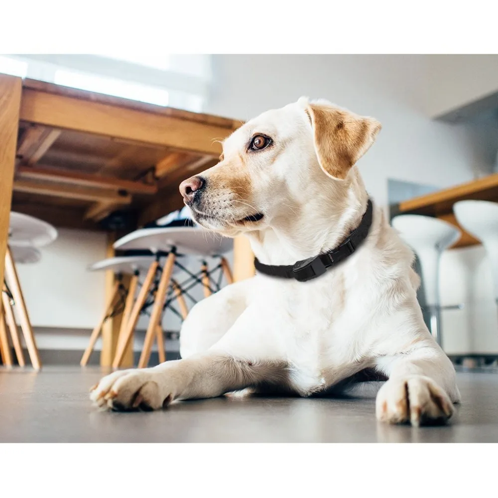 Bark Deterrents 9