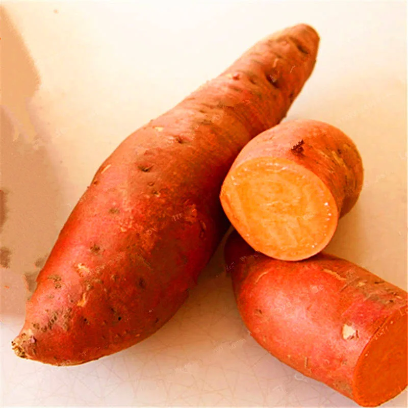 Батат купит семена описание семени моркови