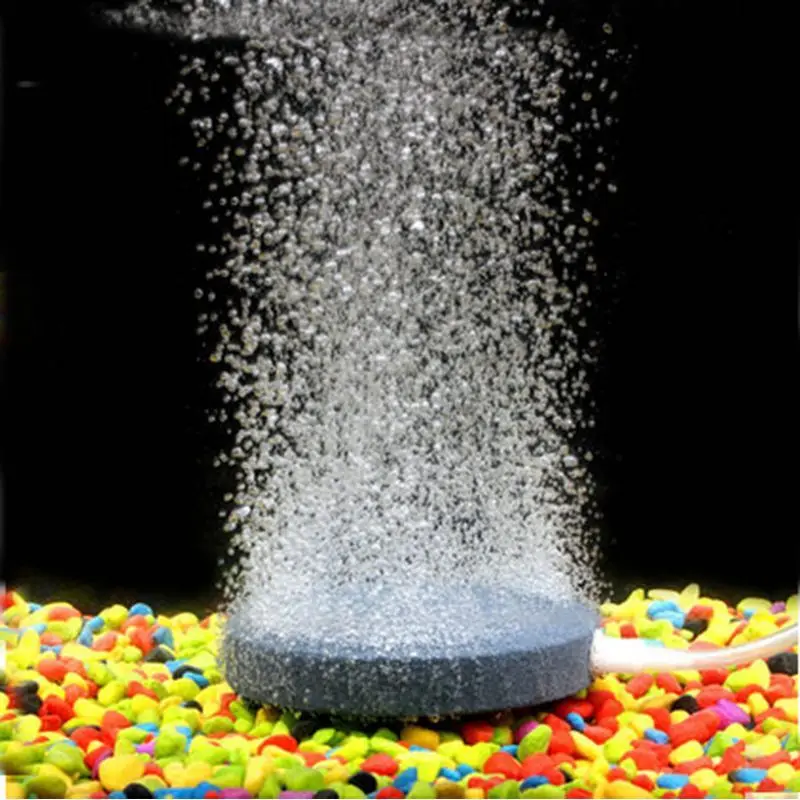 Buy Perfect 4cm Diameter Jardin Aquarium Fish Tank