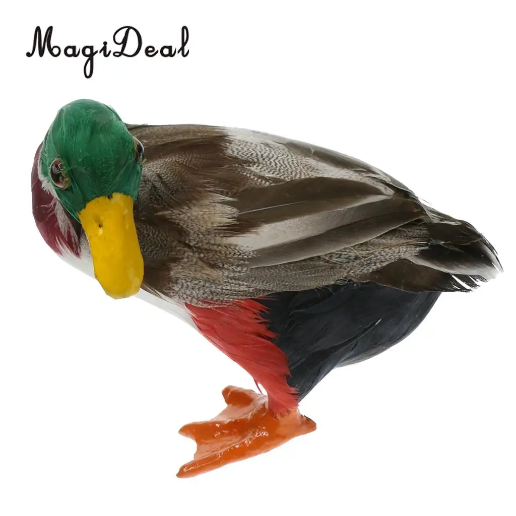 MagiDeal Various Realistic Duck Ornament Figure Outdoor Home Garden Water Pond Decoration DIY Vivid Artificial Feather Craft