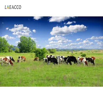 

Laeacco Photo Backgrounds Farm Green Grassland Cow Blue Sky Cloudy Scenic Photography Backdrops Photocall Photo Studio