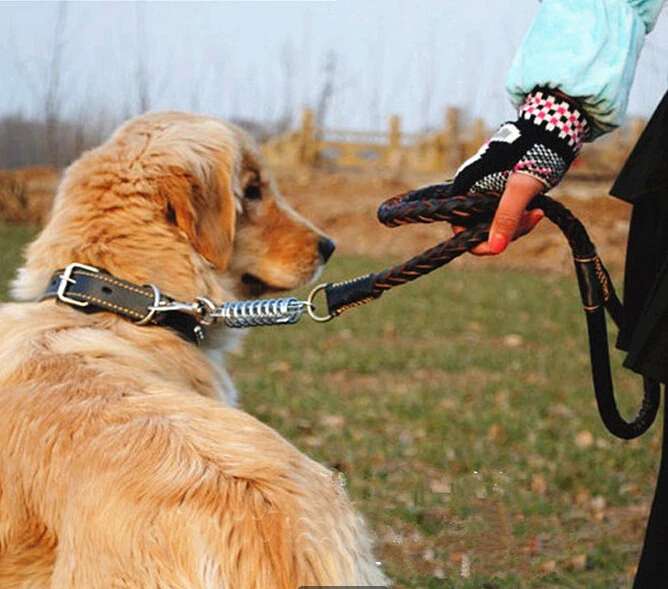 Hot 2017 New Arrive 100 Genuine Leather Pet Collar Leash For 100 Genuine Leather Pet Collar Leash