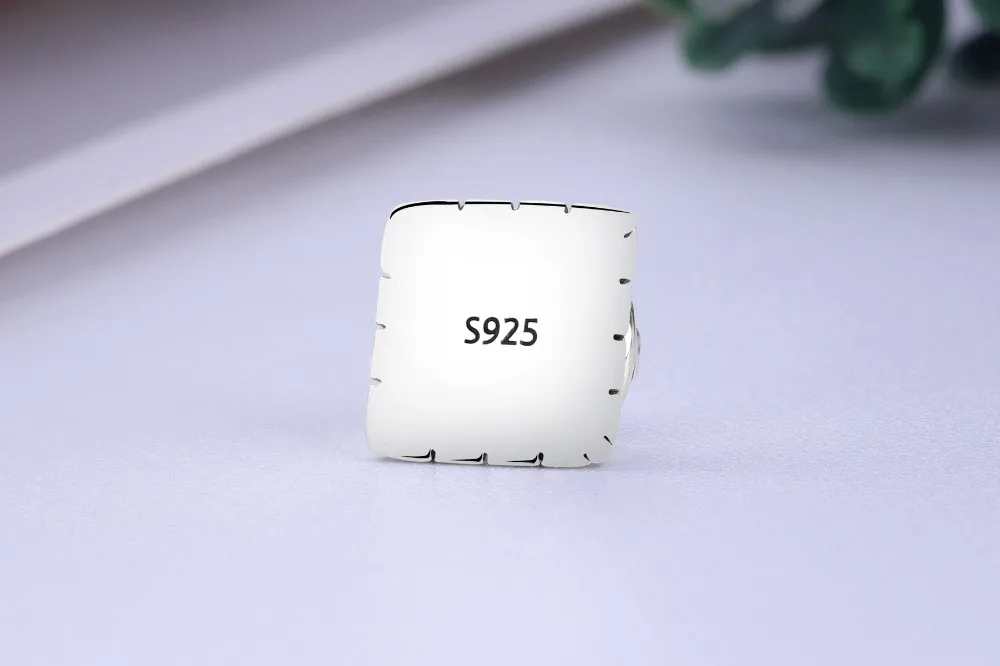 CWS0186 (5)