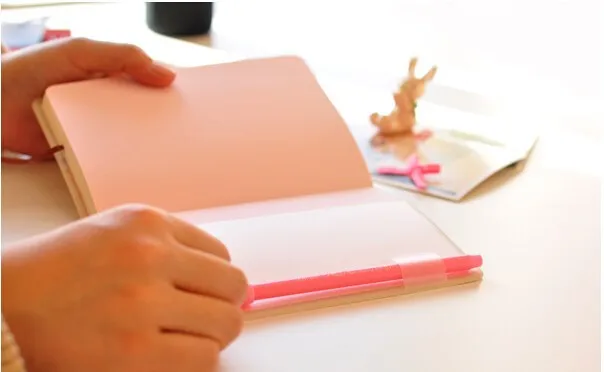 2015-2016 Cute Kawaii Notebook Cartoon Molang Rabbit Journal  Diary Planner Notepad for Kids Gift Korean Stationery12