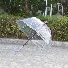 Новая мода вишневый цвет гриб Apollo принцесса для женщин дождь Сакура длинной ручкой Зонты прозрачный зонтик 30 шт
