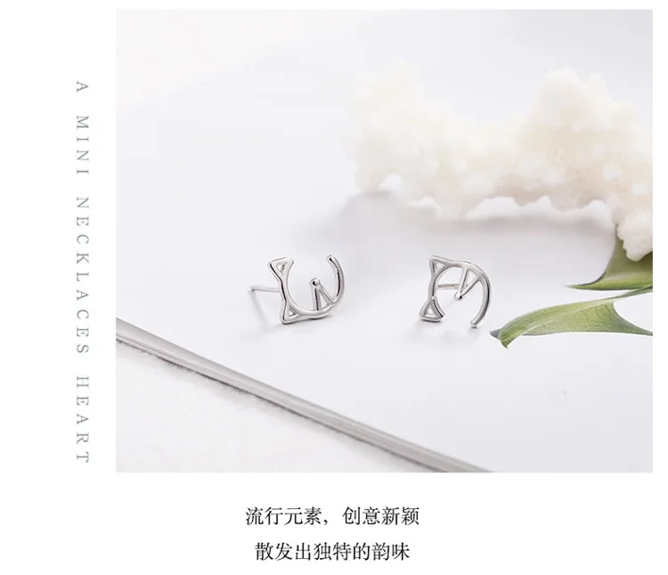 9253745972_823318017