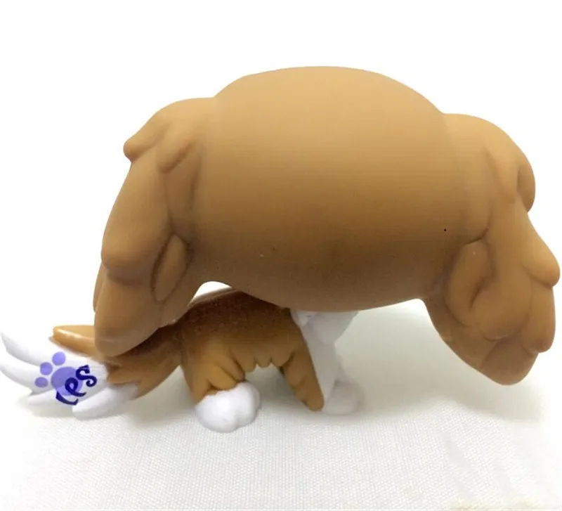 Pet Shop Lps Toys Cat Standing Rare Littlest Dog Collie Cocker Spaniel Great Dane Dachshund Original Short Hair Kitten Xmas Gift Pet Shop Lps Toys Cat Standing Rare Littlest Dog Collie Cocker Spaniel Great Dane Dachshund Original Short Hair Kitten Xmas Gift