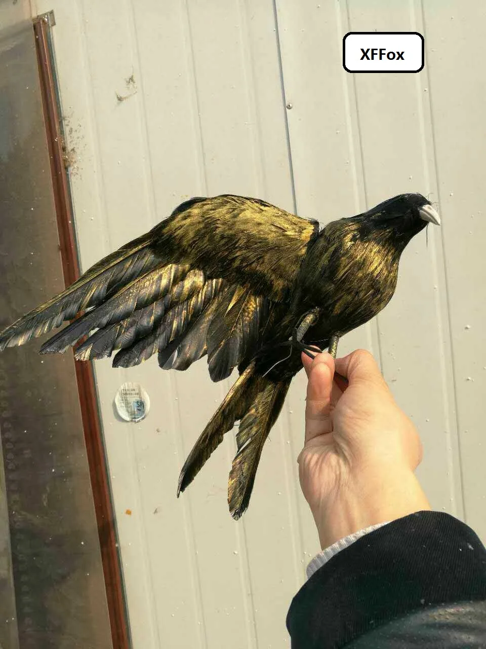 Real Life Wings Crow Bird Model Foam & Feather Simulation Black Bird Gift Circa 40X25Cm Xf0818