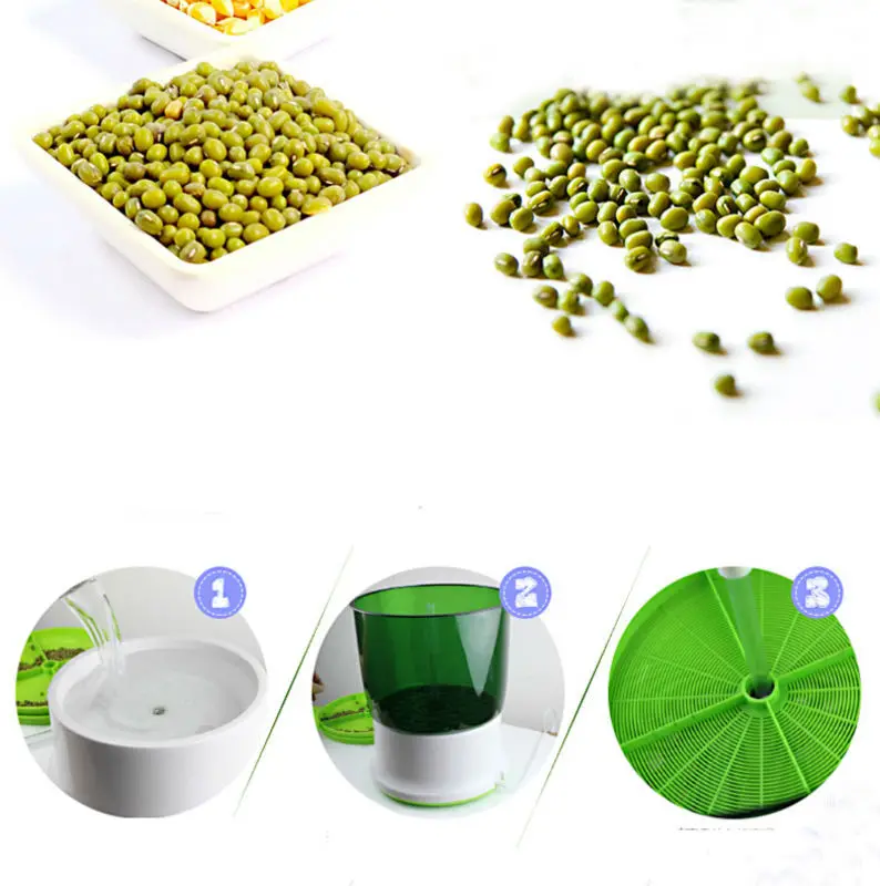 automatic bean sprouts  