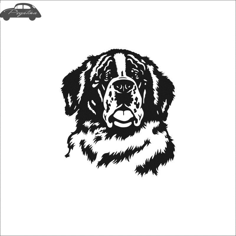 Pegatina Car Bernese Dog Sticker Pet Shop Decal Posters Vinyl Wall Art Decals Quadro Parede Decor Mural Pet Shop Sticker