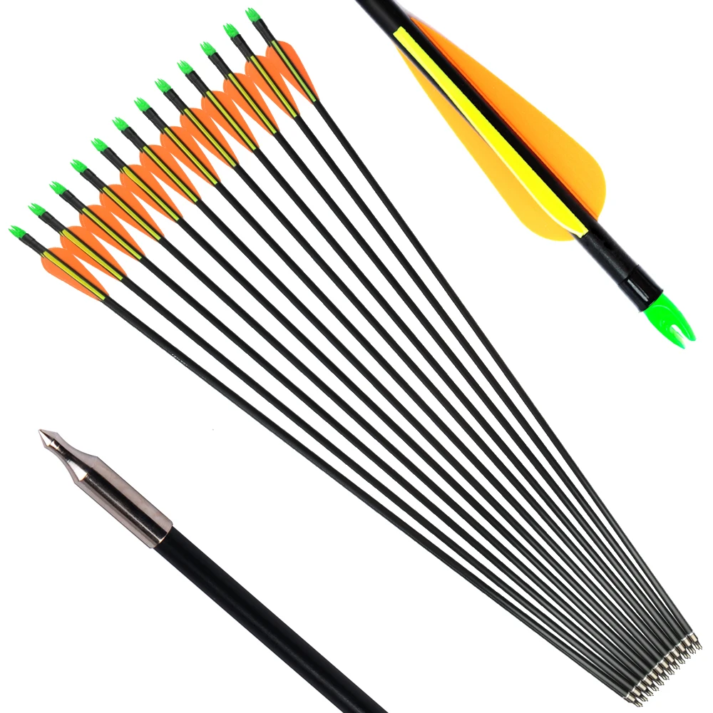 RU  6/12/24pcs 30 Inches Fiberglass Arrows Spine 500 with Double Shaft Steel Field Tip for Adult and Youth Practice Archery