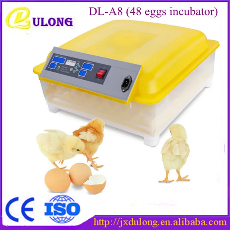 

Reasonable price mini chicken egg incubator with reliable quality