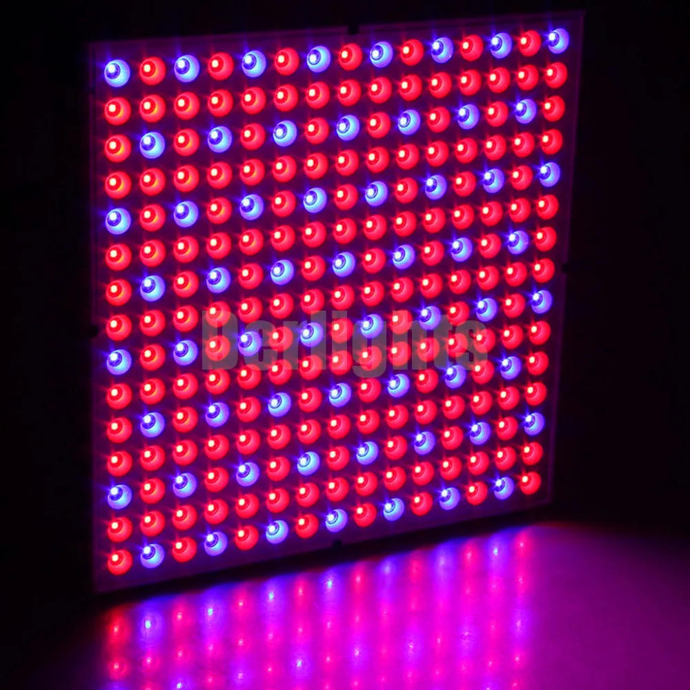 45
