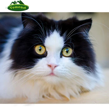 

Cat Black and White Color Diy Diamond Painting Cross Stitch Animal Crystal Rhinestones Square Diamond Sets Unfinish Decorative