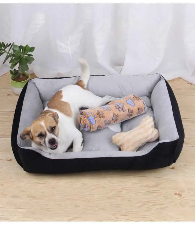 dog sofa