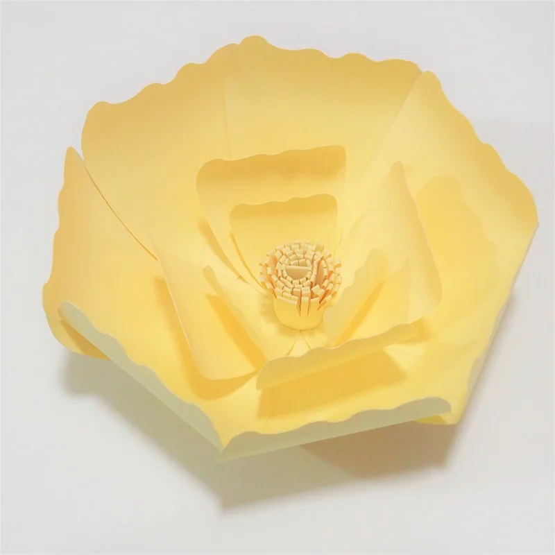 P4302611