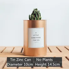 Tin Zinc Can DIY Planter Flower Pot Pen Holder Organizer Storage Rustic Cacti Tall Champagne
