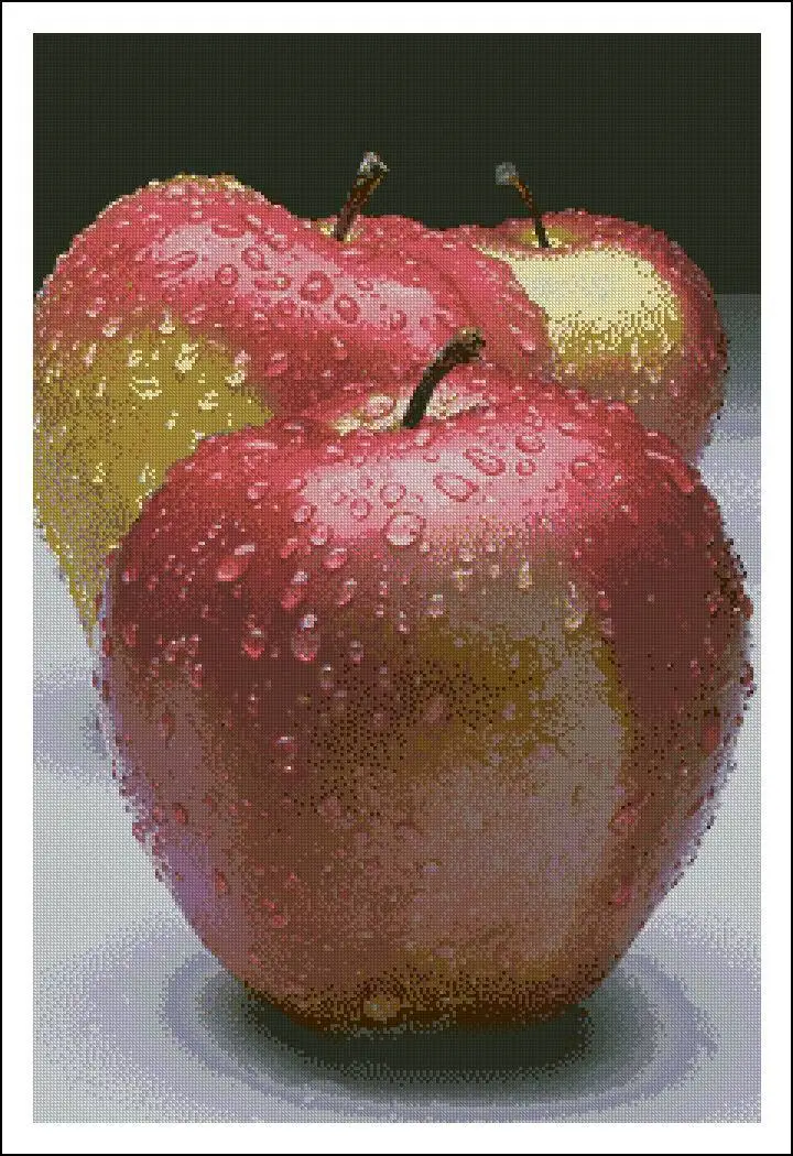 CS-1423 cross stitch kit red apple apples fruit fruits.jpg