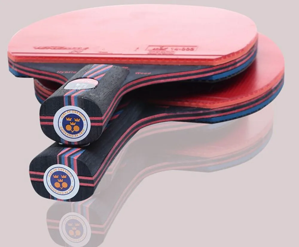 7 free gift Hybrid Wood 9.8 Brand Quality Table tennis racket Ddouble face Pimples-in blue rubber Ping Pong Racket tenis de mesa