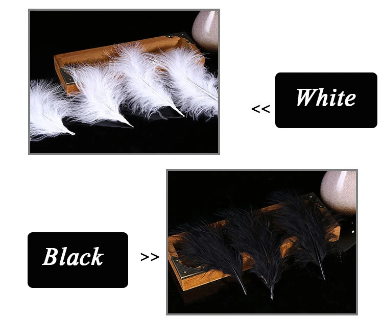 3195010145_1022353483