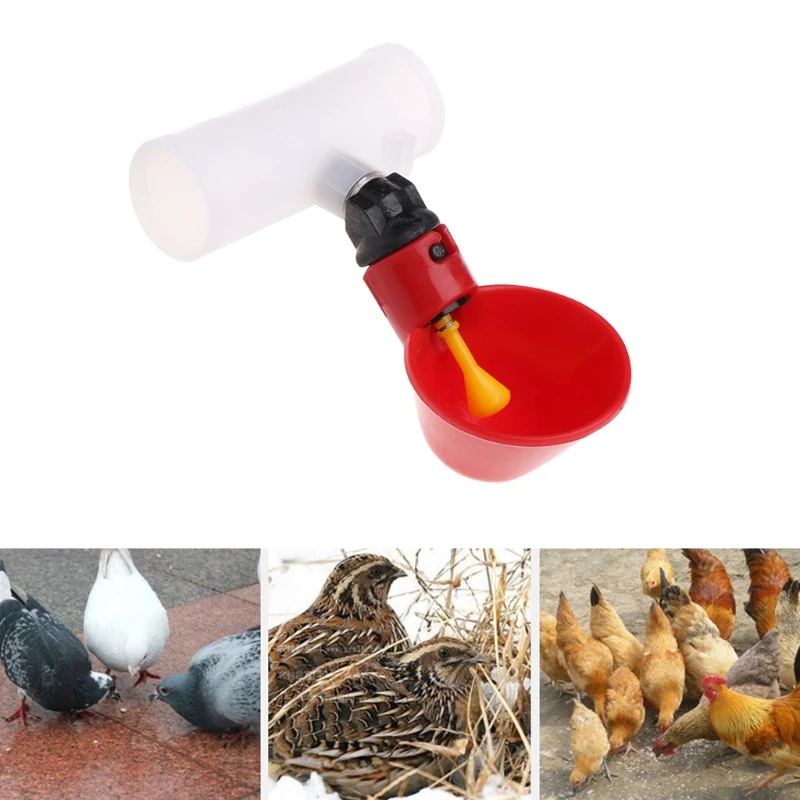 

Poultry Water Drinking Cup Plastic Automatically Drinker Chicken Hen Bird Feeder