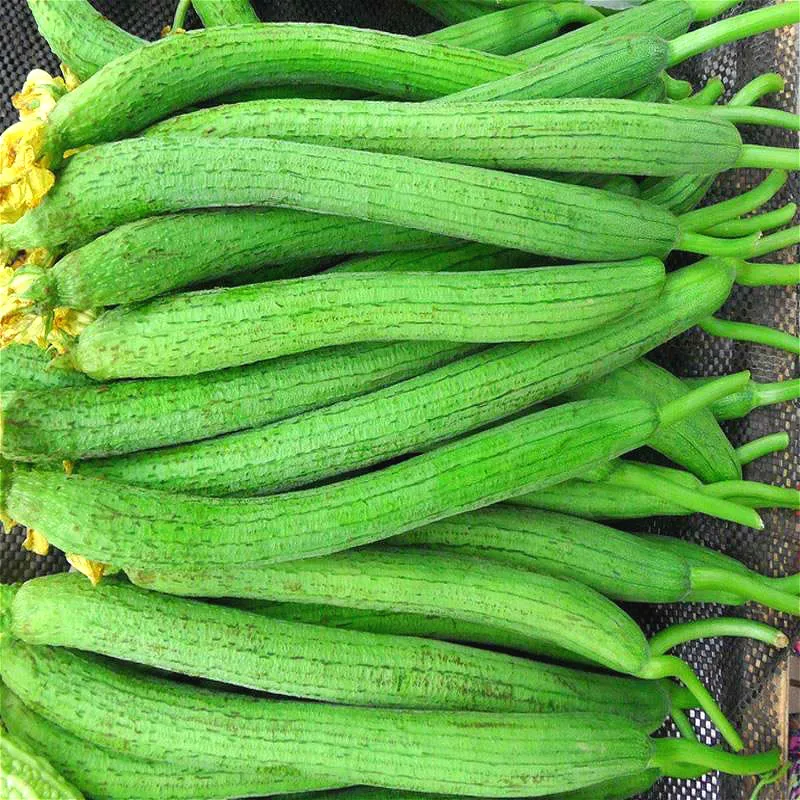 Popular Loofah Plant-Buy Cheap Loofah Plant lots from China Loofah ...