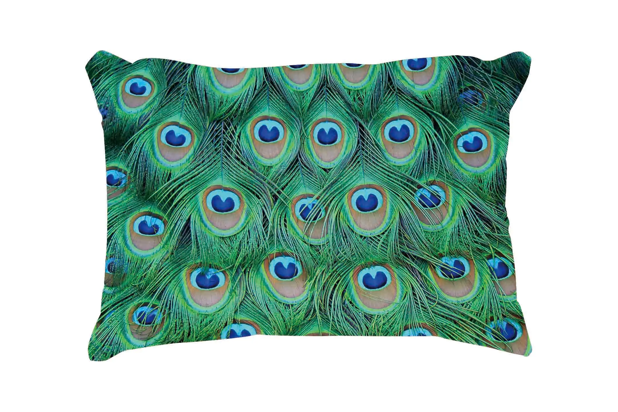 Peacock Feathers Customized Cotton Linen Rectangle Throw Pillow Case