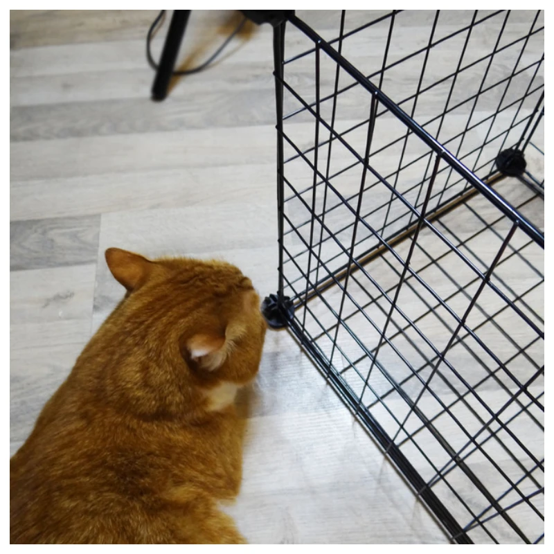 Fence For Dog Aviary For Pet Fitting For Cat Door Playpen Cage Products Security Foldable Pet Playpen Crate Iron Fence Puppy Fence For Dog Aviary For Pet Fitting For Cat Door Playpen Cage Products Security Foldable Pet Playpen Crate Iron Fence Puppy