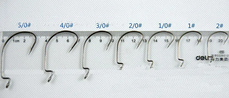 1572419203_1720222730