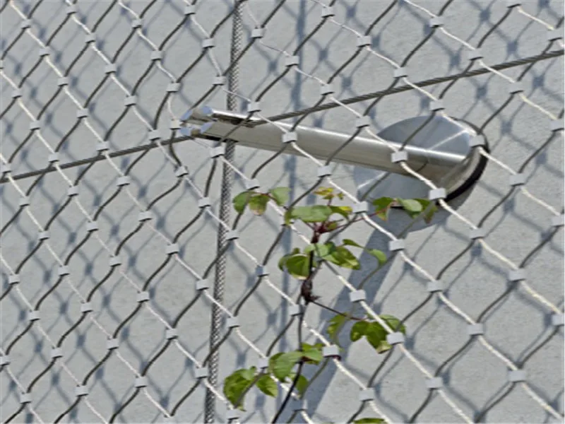 ステンレス鋼ケーブルメッシュ製品として建築表面植物クライミングネット