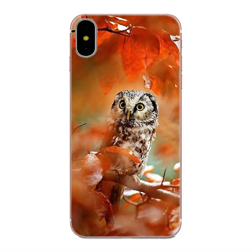 Роскошный чехол для мобильного телефона Fly Fierce Hawk Galaxy Alpha Core Note 2 3 4 S2 A10 A20 A20E A30 A40 A50