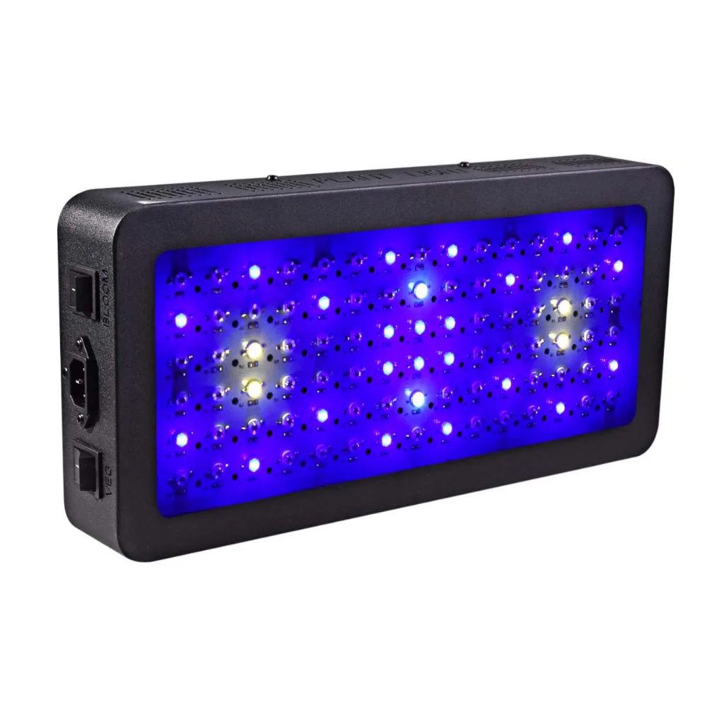 900W-5