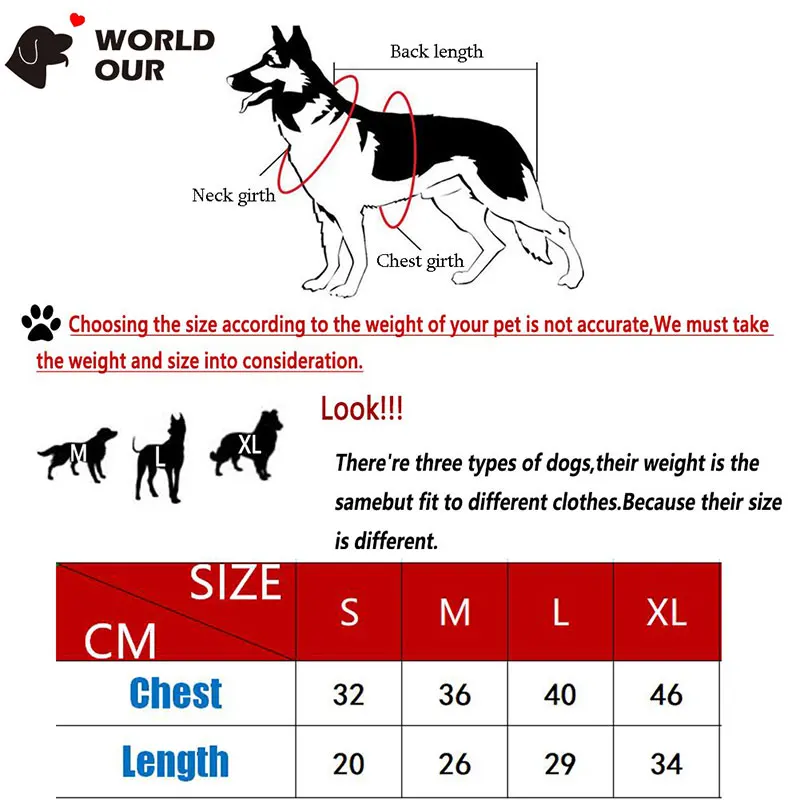 new year costume for dogs