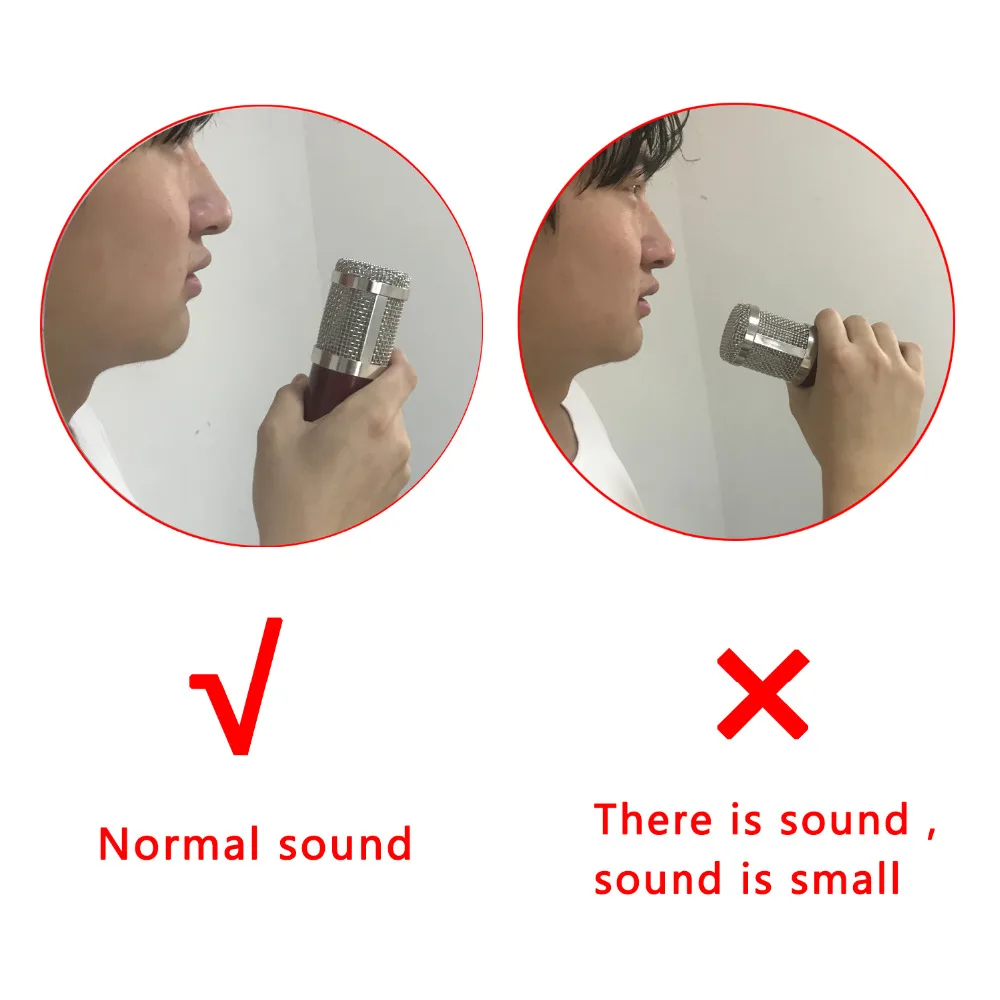 BM-800  32  cable microphone