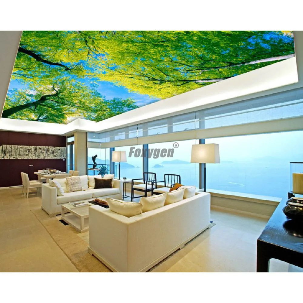 Us 90 0 Digital Printed And Uv Printing False Ceiling Blue Sky Designs Interior Ceiling Decoration In Wallpapers From Home Improvement On Aliexpress