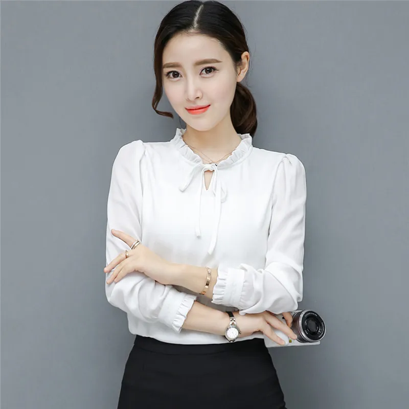 Chiffon Blouse (5)