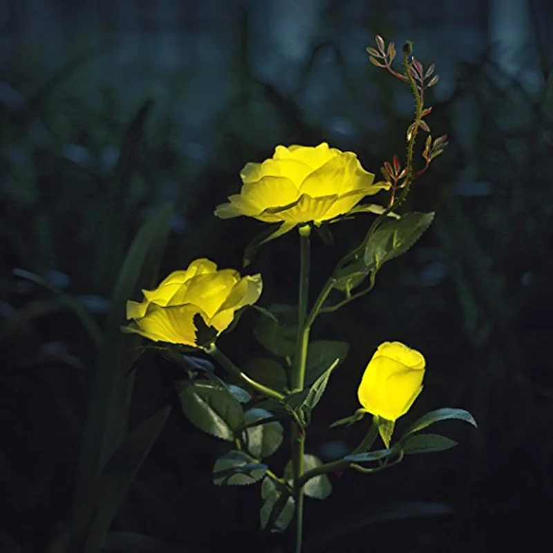 BG0049 (13)