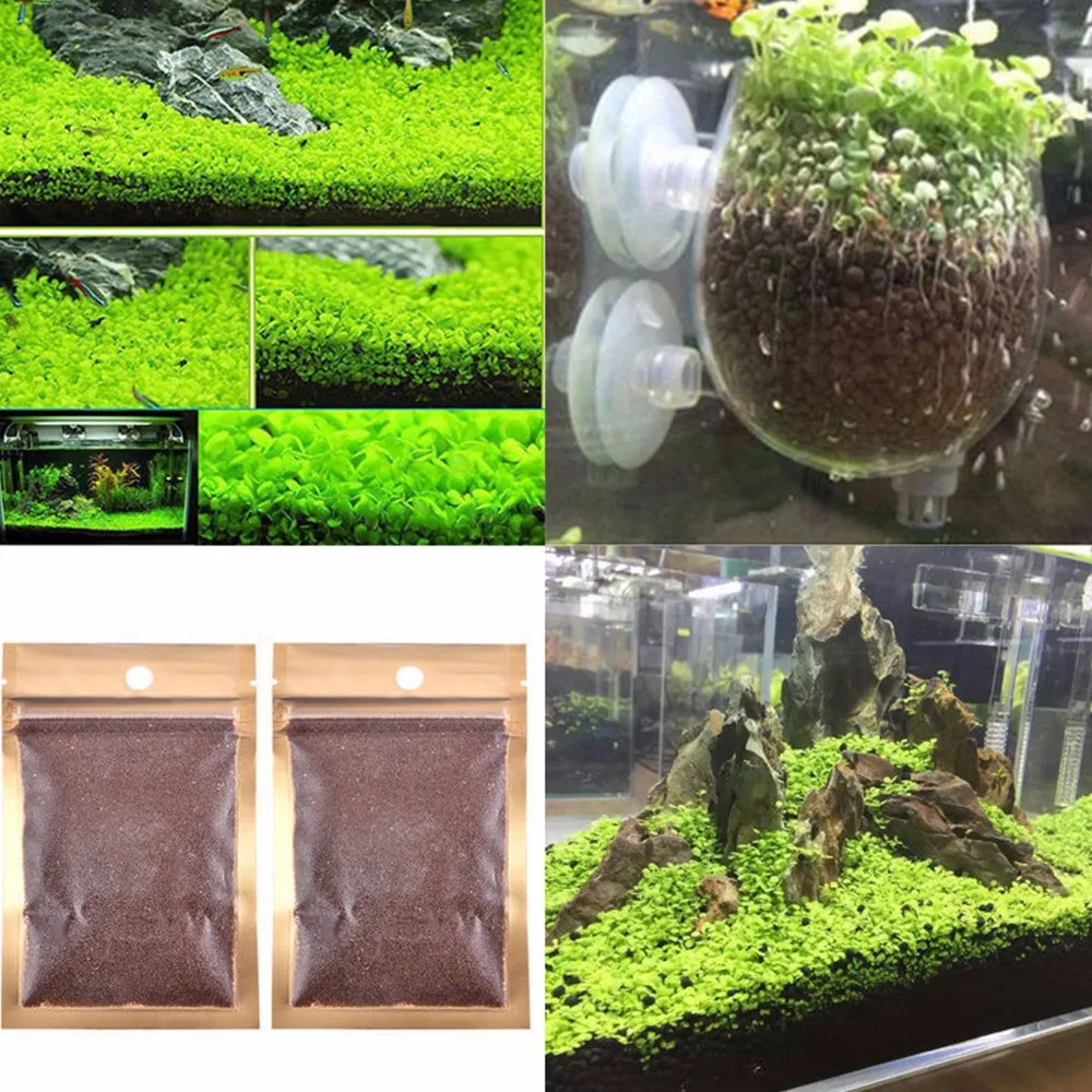 Много аквариумных растений семена водной двойной листовой ковер вода трава аквариум Декор