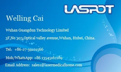 Welling Cai