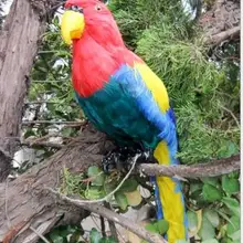 WYZHY моделирование перо попугай ручной работы сад домашнее украшение фото реквизит 40 см