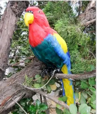 

WYZHY Simulation feather parrot handmade garden home decoration photo photography props 40CM