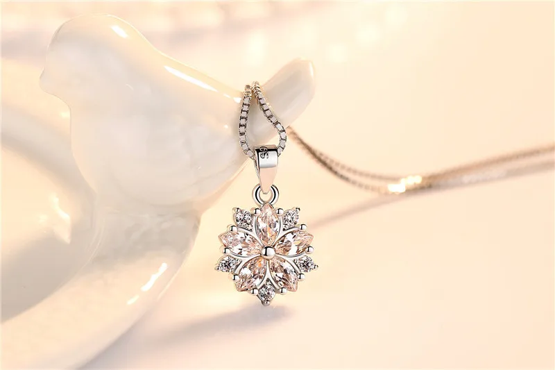 9083269477_248682925_