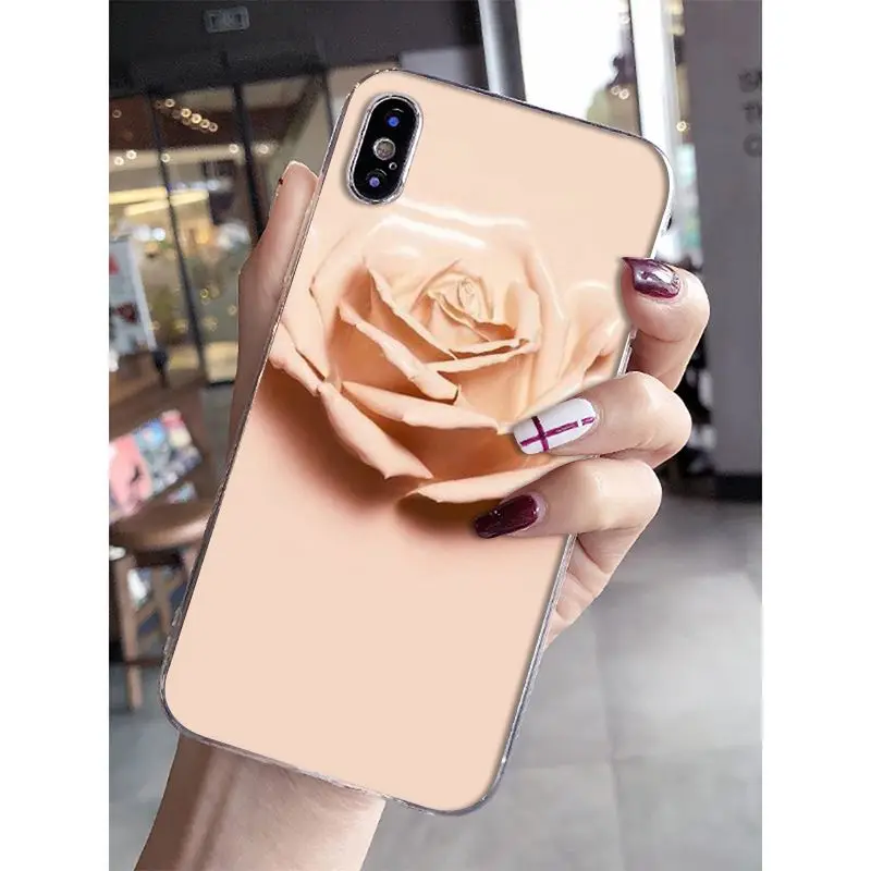 Newest special stylish and beautiful rose