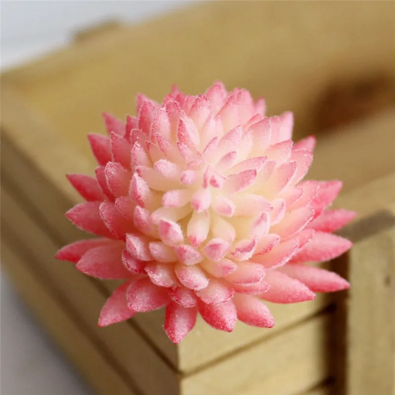mini artificial fleshiness Cactus plant DIY real touch palm bonsai local landscape decorative flower talbe decoration DF118 (5)