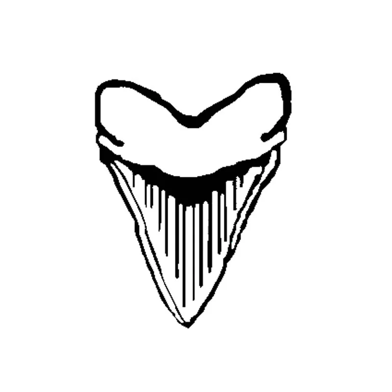 13-31