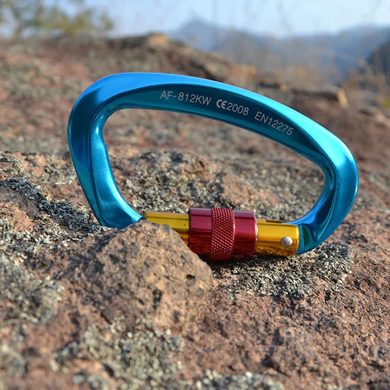 Professional Safety Master Lock D Buckle Climbing Lock Carabiner Rock Buckle Equipment for Climbing Professional Safety Master Lock D Buckle Climbing Lock Carabiner Rock Buckle Equipment for Climbing