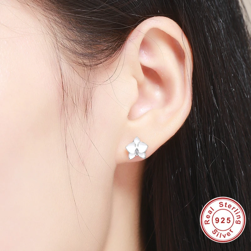 PAS515(5)